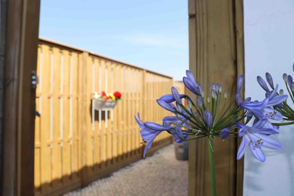 St Agnes Perfect Location, Hot Tub, Sea Views, Gym Apartment Bagian luar foto