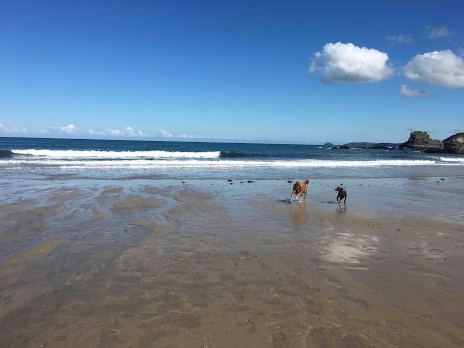 St Agnes Perfect Location, Hot Tub, Sea Views, Gym Apartment Bagian luar foto